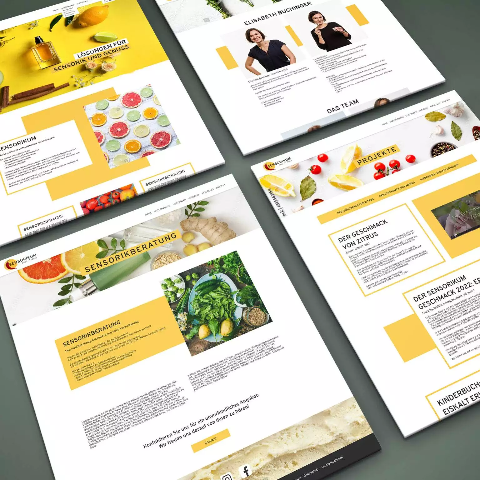Digitales Handwerk Web Design Wien Portfolio Sensorikum